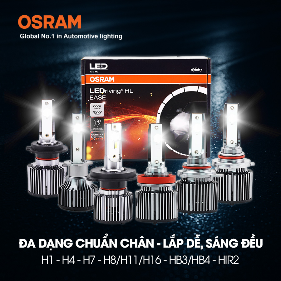Bóng Led Grass H1 F6150CW 12V 25W 6000K 2 bóng/hộp Hiệu Osram