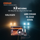 Bóng Led Grass H11-H8-H16 F6211CW 12V 30W 6000K 2 bóng/hộp Hiệu Osram