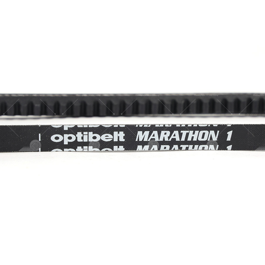 Dây curoa thang Optibelt V10x705