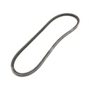 Dây curoa thang Optibelt  V10x900