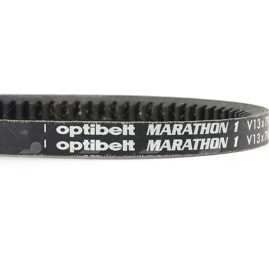 Dây curoa thang Optibelt  V13x795