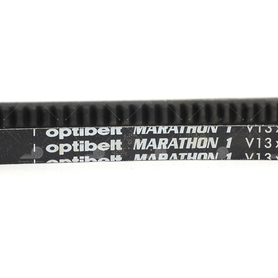 Dây curoa thang Optibelt  V13x885